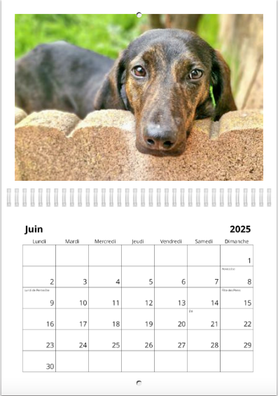 Spécial Noël calendrier